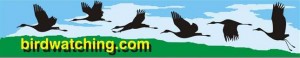 birdwatching.com logo